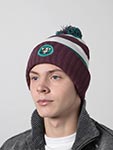 Шапка MITCHELL NESS арт. HK10243-ADUPURP Anaheim Ducks NHL (сливовый / зеленый)